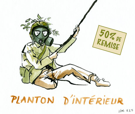 Planton d'intérieur Planton d'intérieur