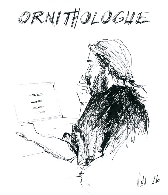 Ornithologue plume